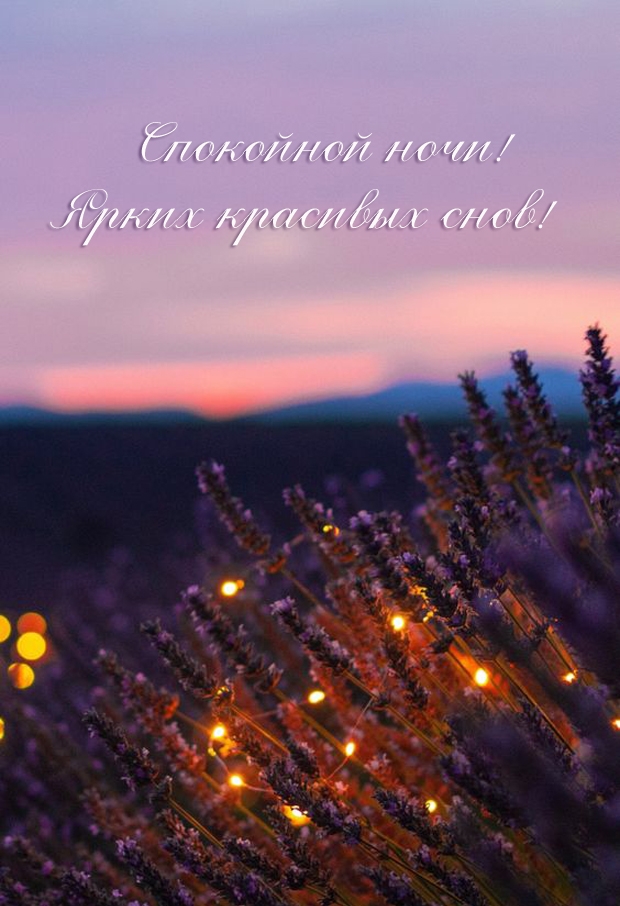 Спокойной ночи! Ярких красивых снов!