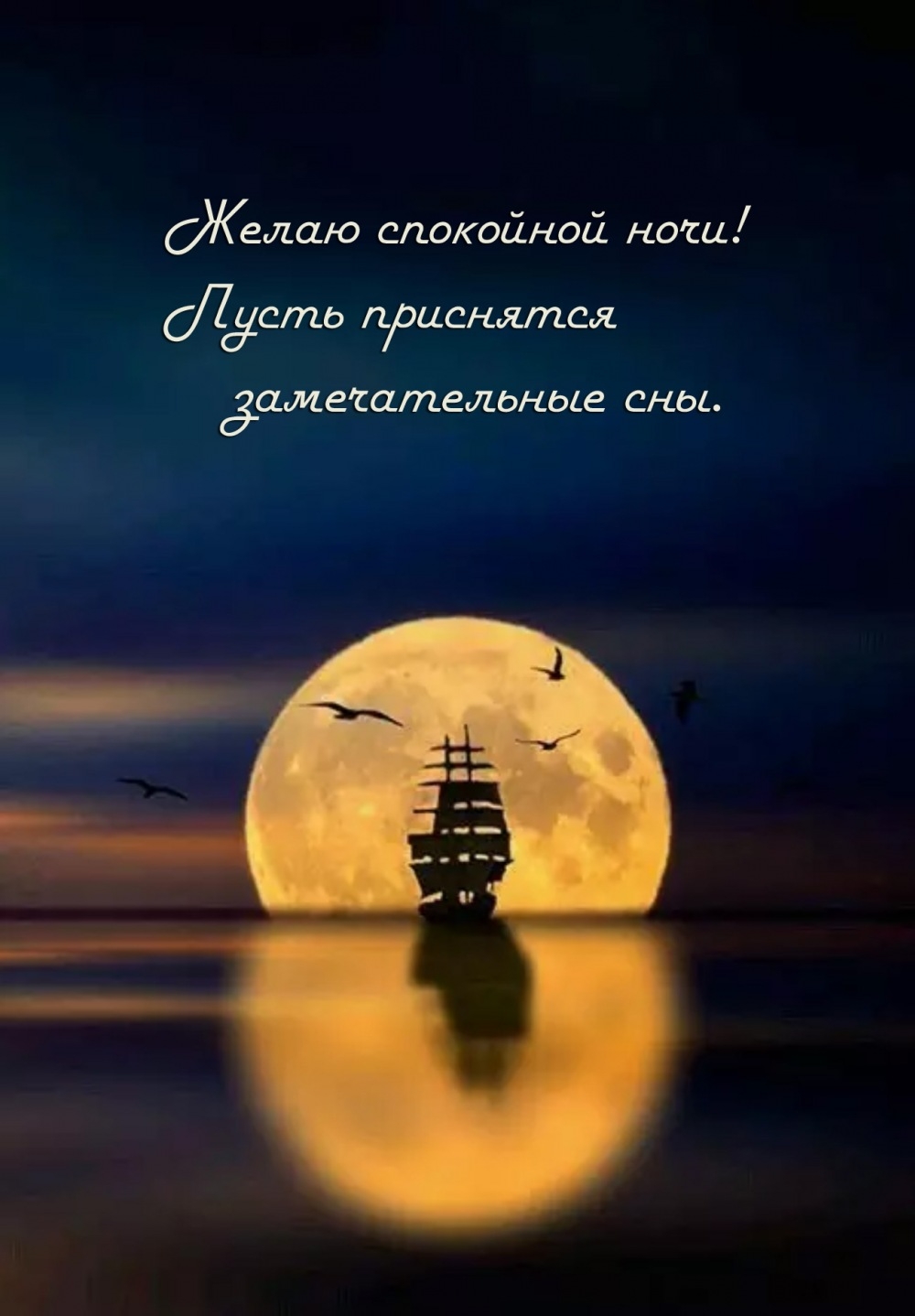 Желаю спокойной ночи! Пусть приснятся замечательные сны.