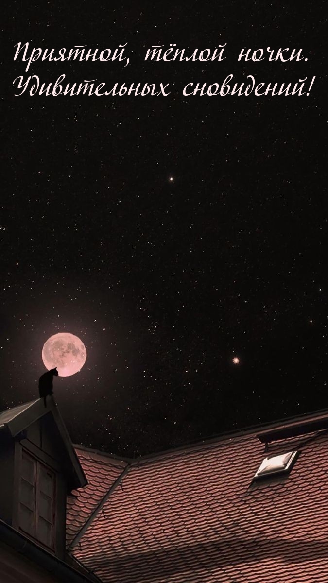 Приятной, тёплой ночки. Удивительных сновидений! 