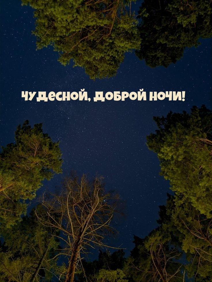 Чудесной, доброй ночи!