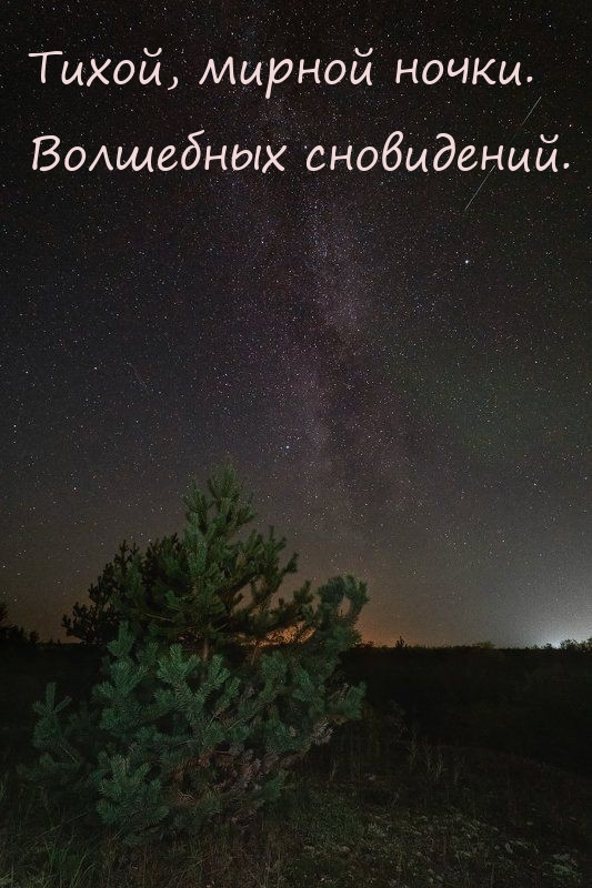 Тихой, мирной ночки. Волшебных сновидений. 