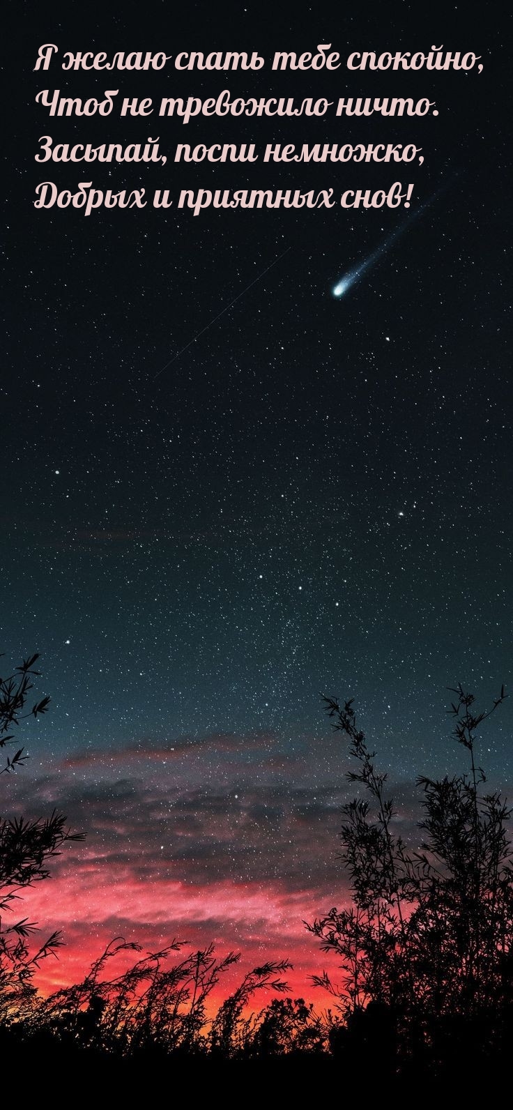 Я желаю спать тебе спокойно, чтоб не тревожило ничто. 