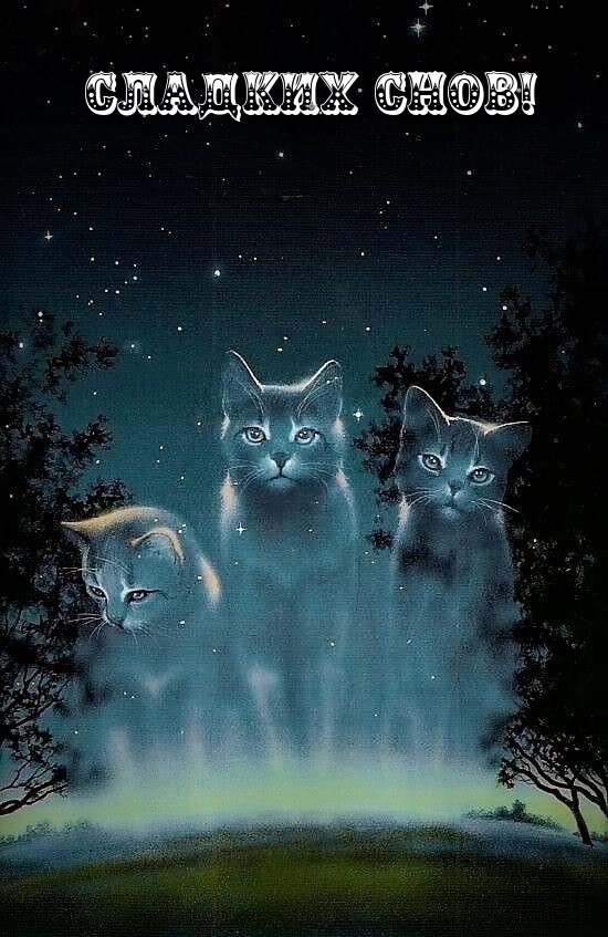 Сладких снов!