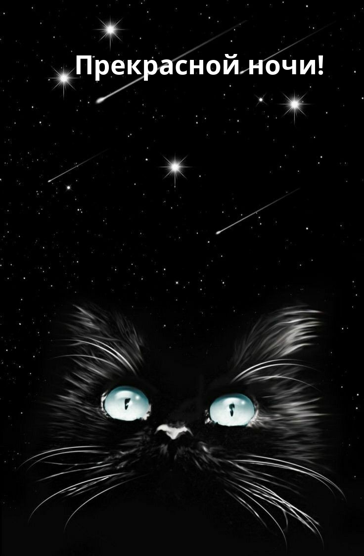 Прекрасной ночи!