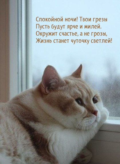 Спокойной ночи! Твои грезы пусть будут ярче и милей.