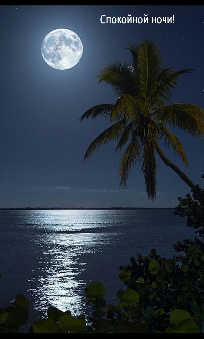 Спокойной ночи!