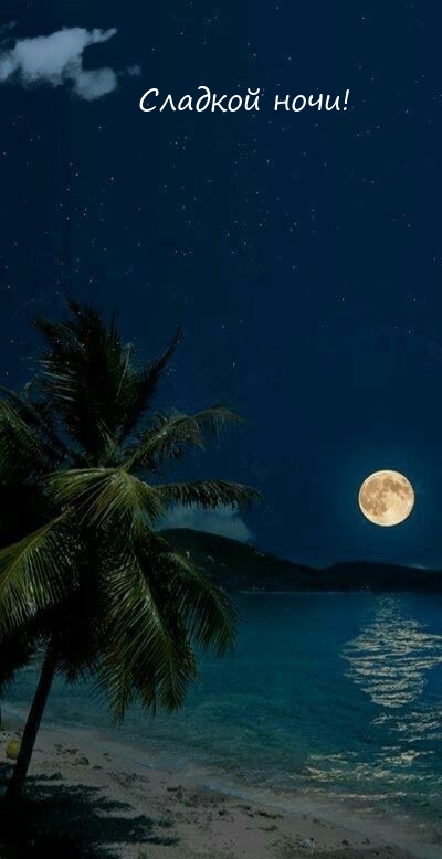 Сладкой ночи!