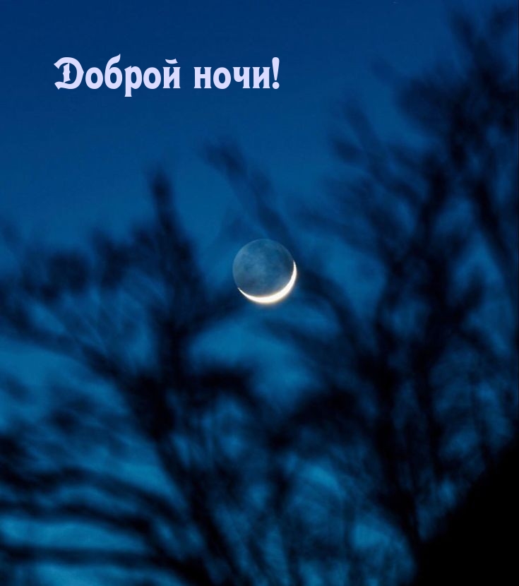Доброй лунной ночи!
