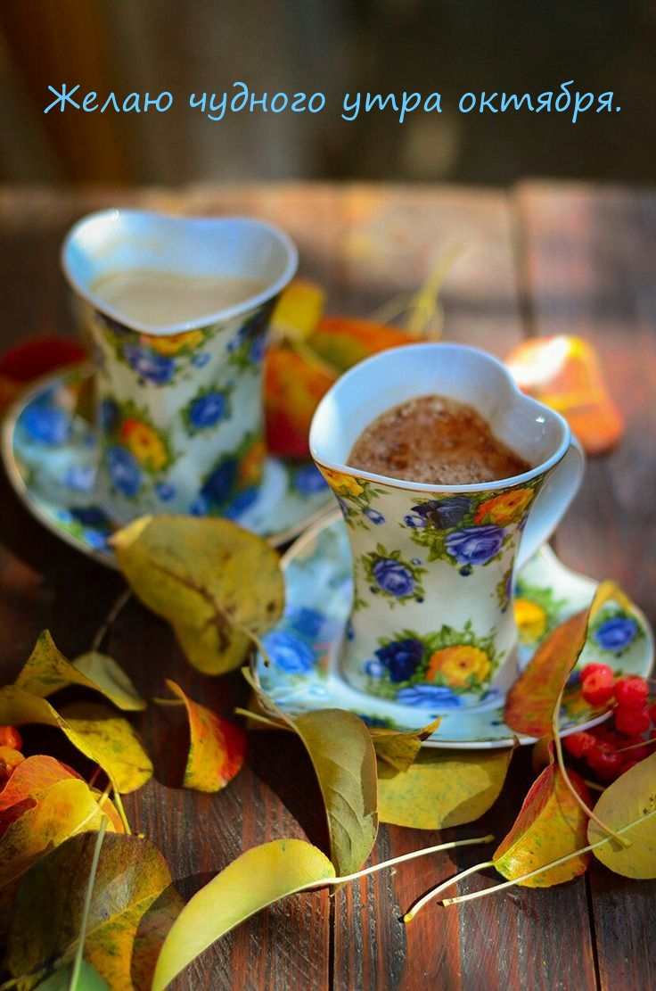 Желаю чудного утра октября.