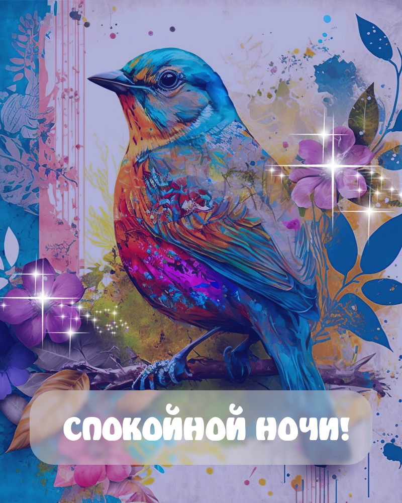 Спокойной ночи!