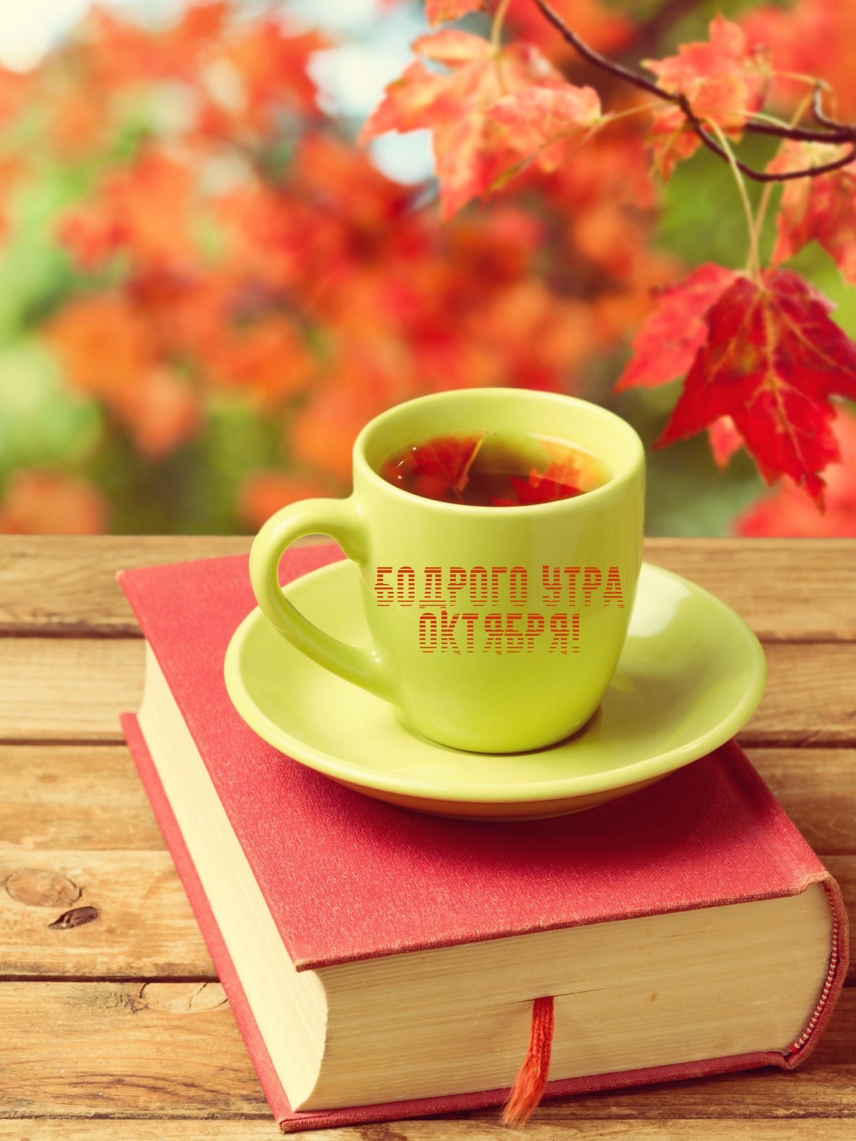 Бодрого утра октября!