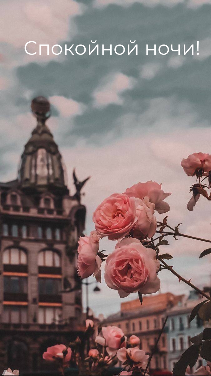 Спокойной ночи!