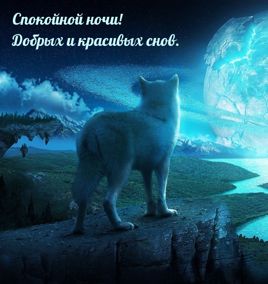 Спокойной ночи! Добрых и красивых снов.