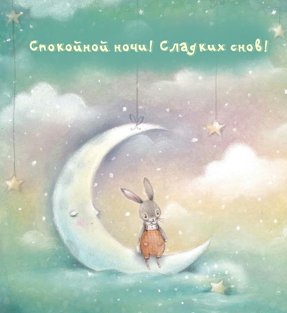 Спокойной ночи! Сладких снов!