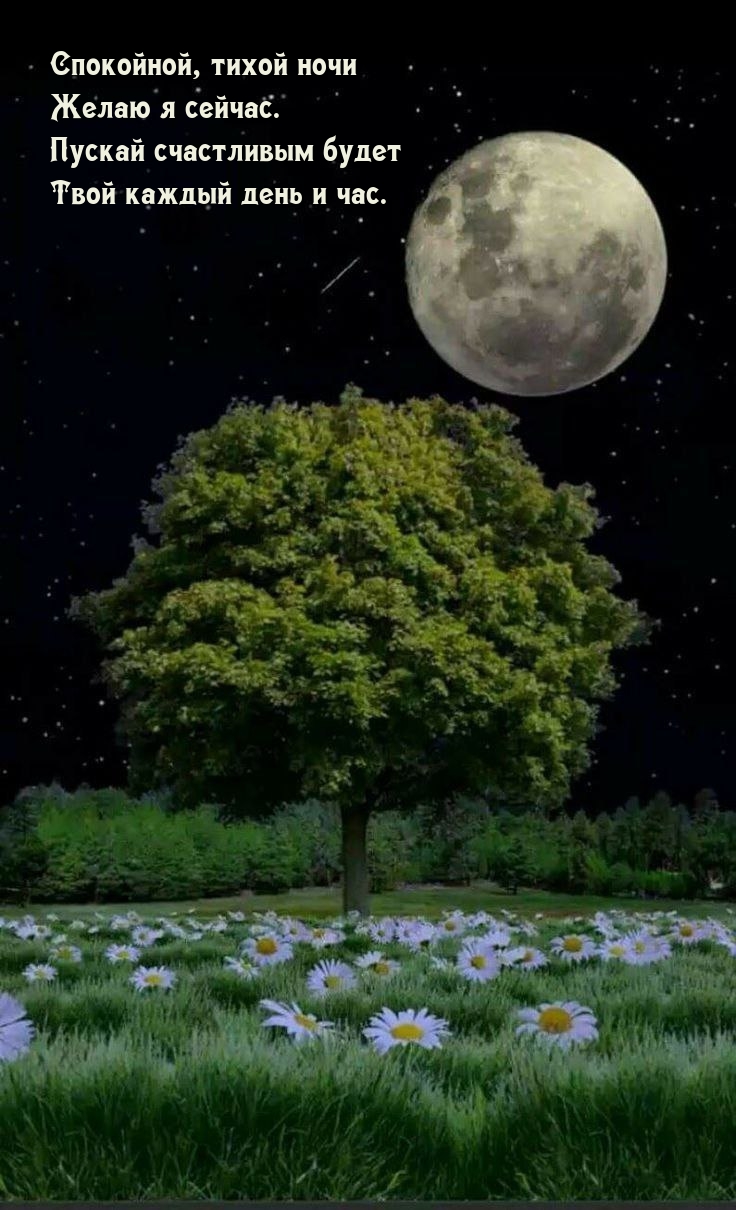 Спокойной, тихой ночи желаю я сейчас.