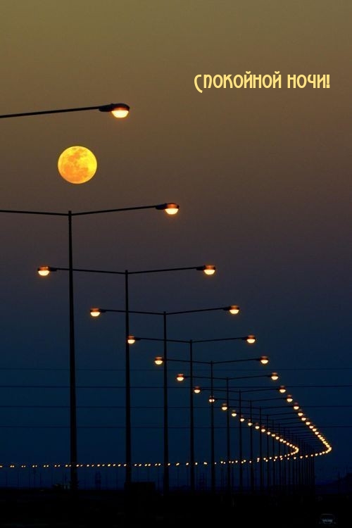 Спокойной ночи!