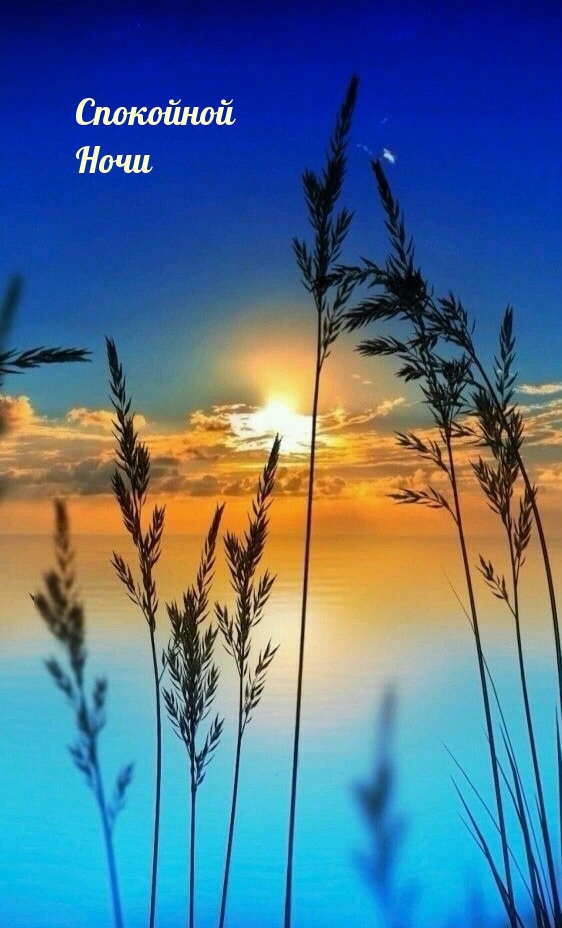 Спокойной Ночи