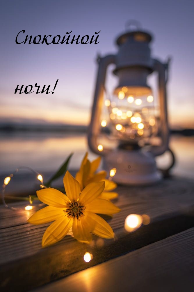 Спокойной ночи!