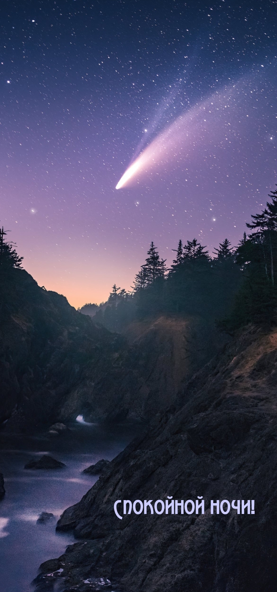 Спокойной ночи!