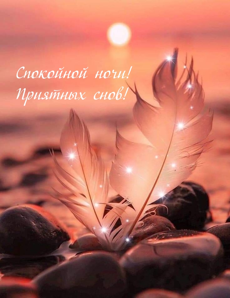 Спокойной ночи! Приятных снов!