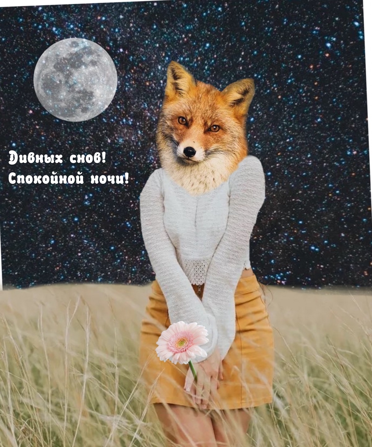 Дивных снов! Спокойной ночи!