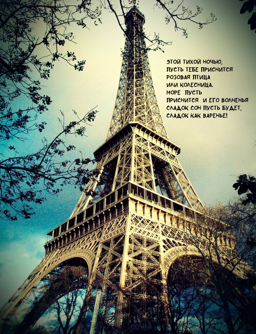 Этой тихой ночью, пусть приснится розовая птица или колесница.