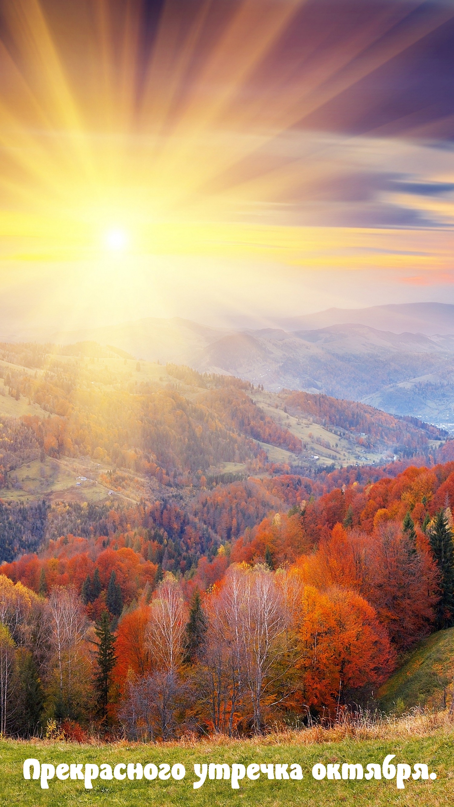 Прекрасного утречка октября.