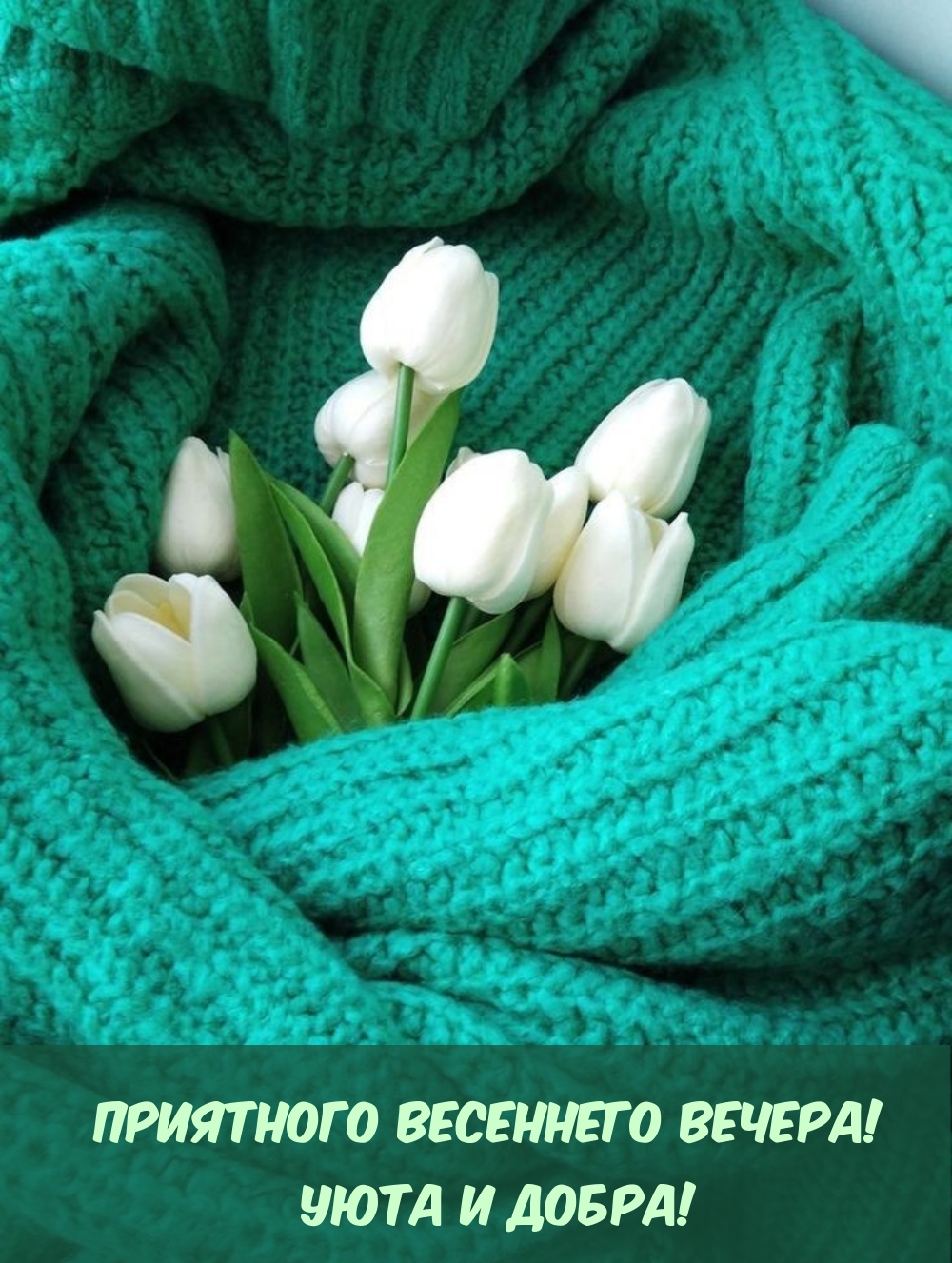 Приятного весеннего вечера! Уюта и добра! 