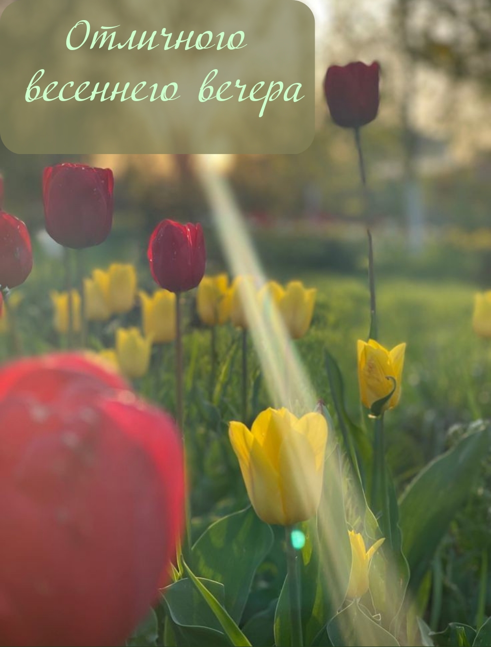 Отличного весеннего вечера