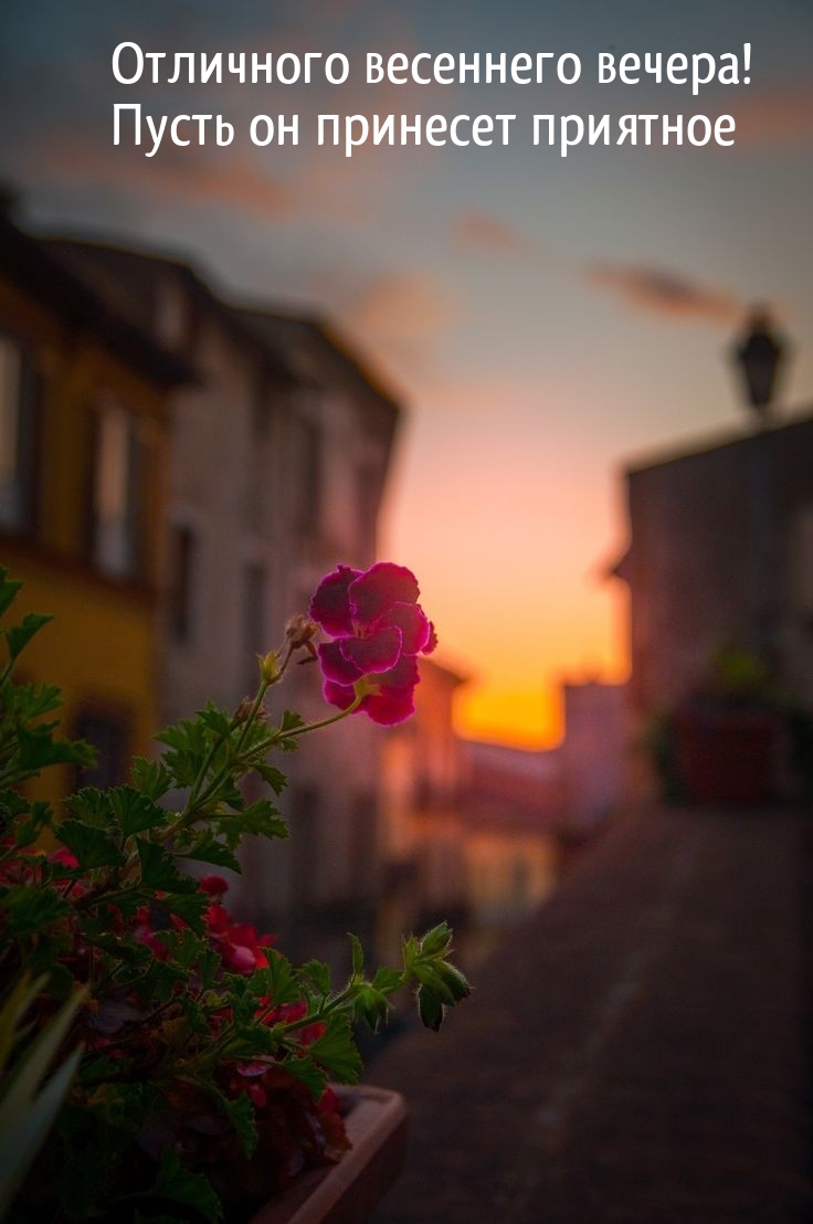 Отличного весеннего вечера! Пусть он принесет приятное