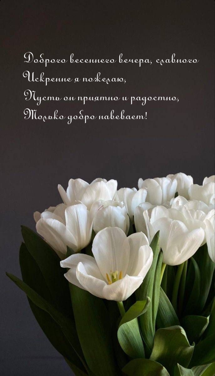 Доброго весеннего вечера, славного искренне я пожелаю