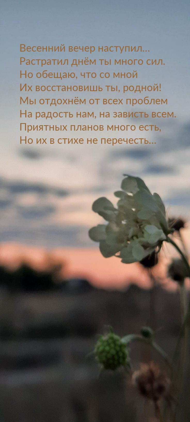 Весенний вечер наступил… Растратил днём ты много сил.