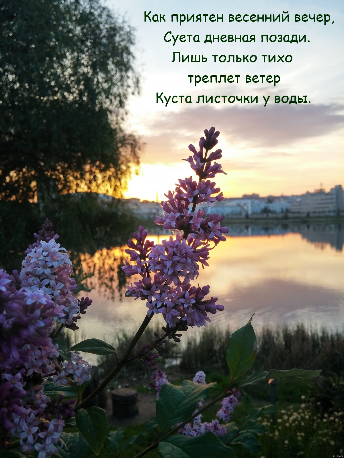 Как приятен весенний вечер, суета дневная позади.