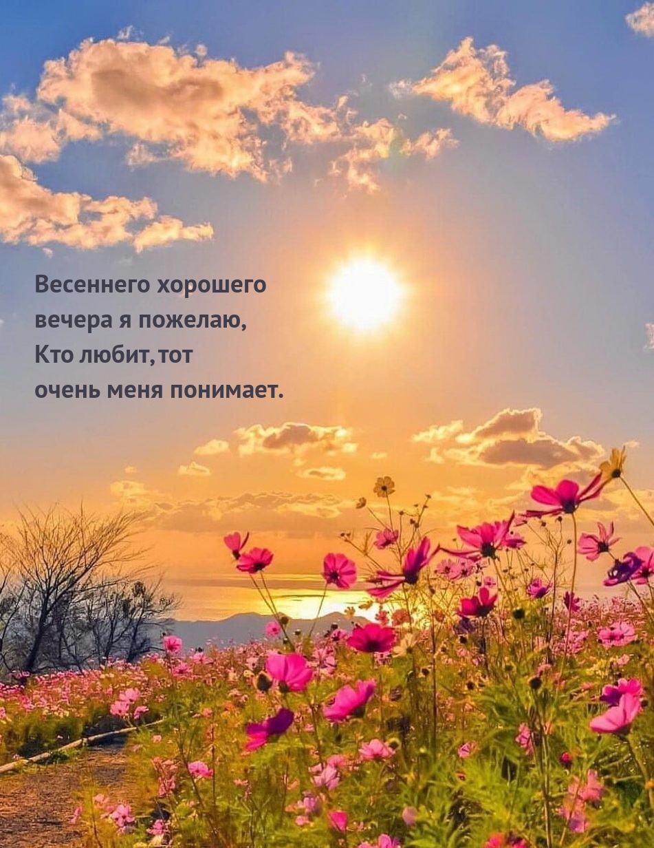 Весеннего хорошего вечера я пожелаю