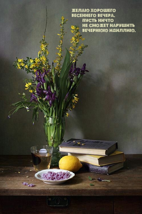 Хорошего весеннего вечера. Пусть ничто не сможет нарушить идиллию.