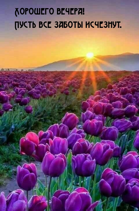 Хорошего вечера! Пусть все заботы исчезнут.