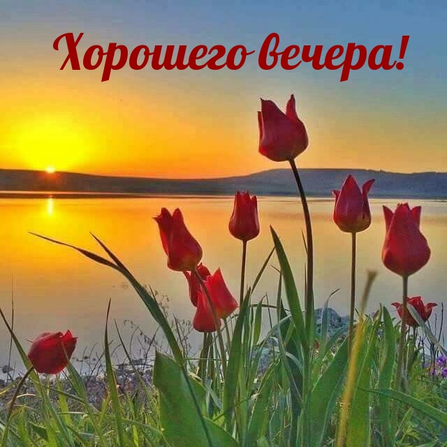 Хорошего вечера!