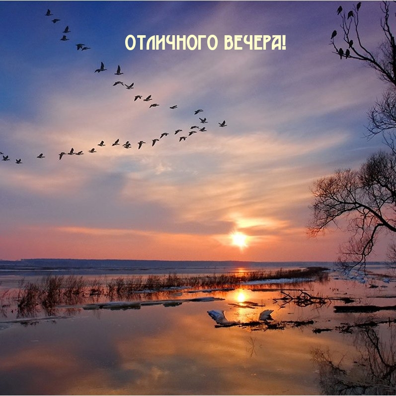 Отличного вечера!