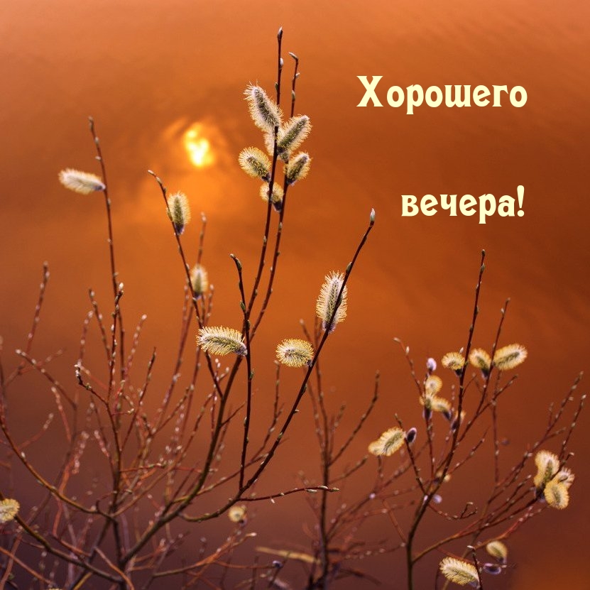 Хорошего вечера!