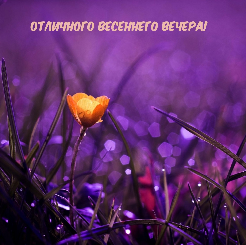 Отличного весеннего вечера!