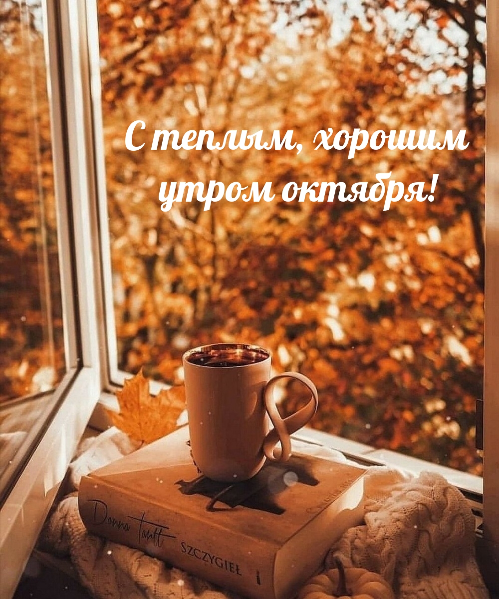 С теплым, хорошим утром октября!