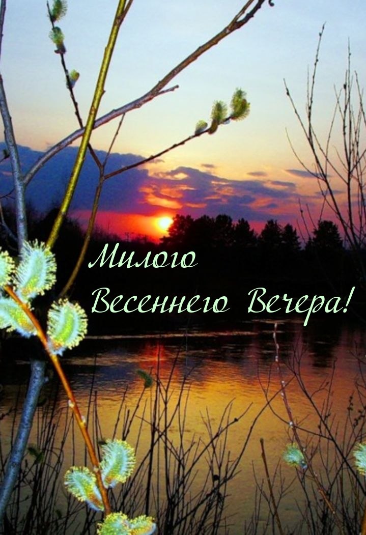Милого Весеннего Вечера!