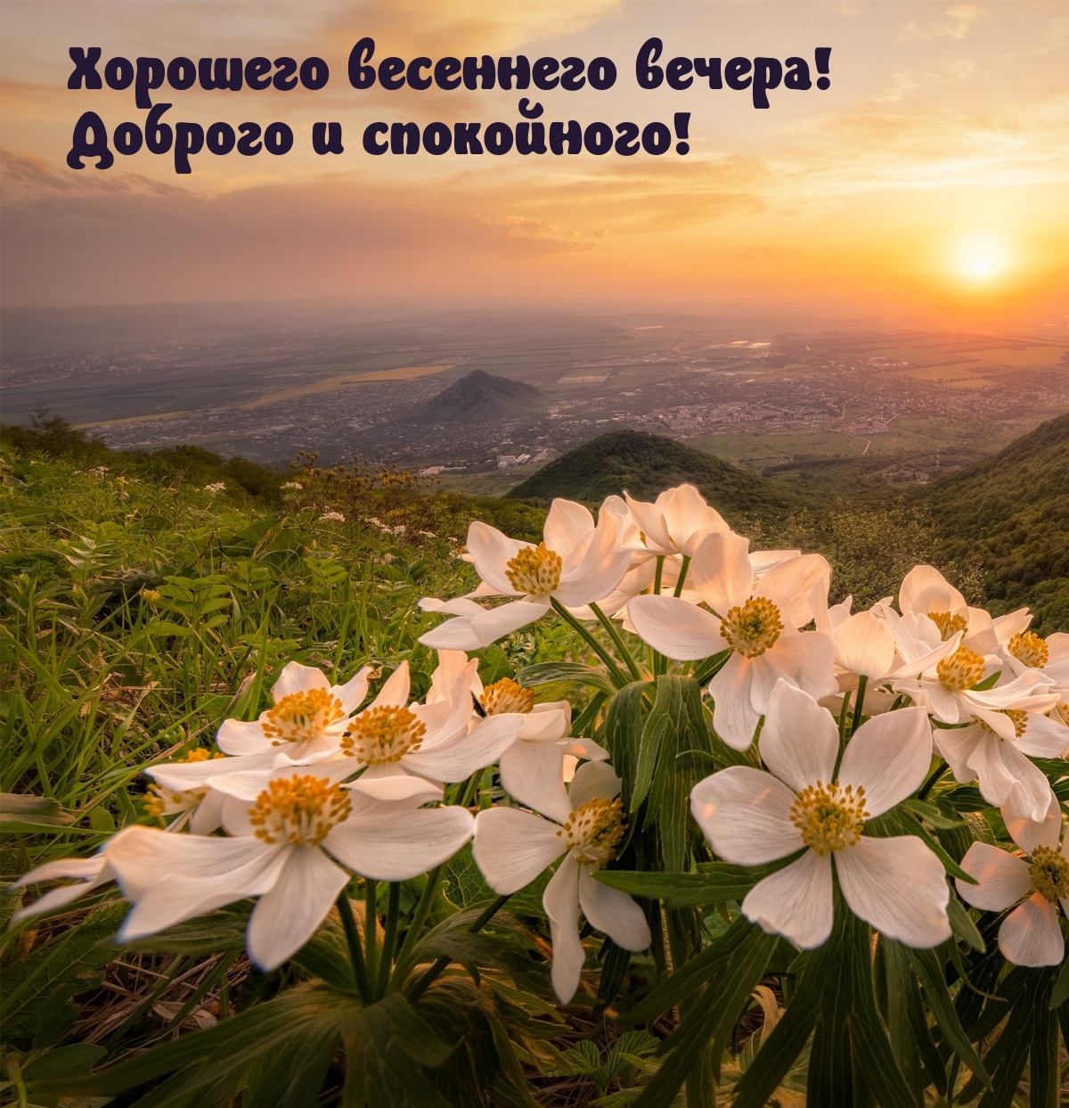 Хорошего весеннего вечера! Доброго и спокойного!