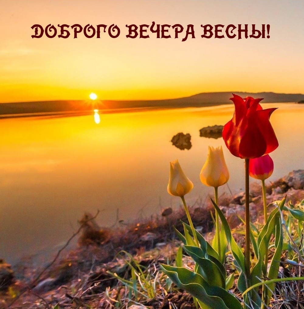 Доброго вечера весны!