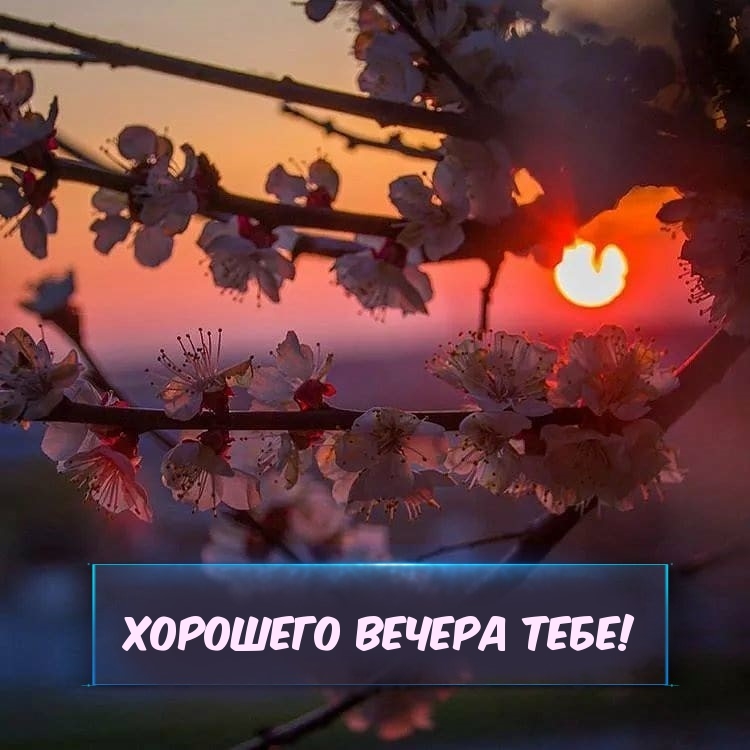 Хорошего вечера тебе!