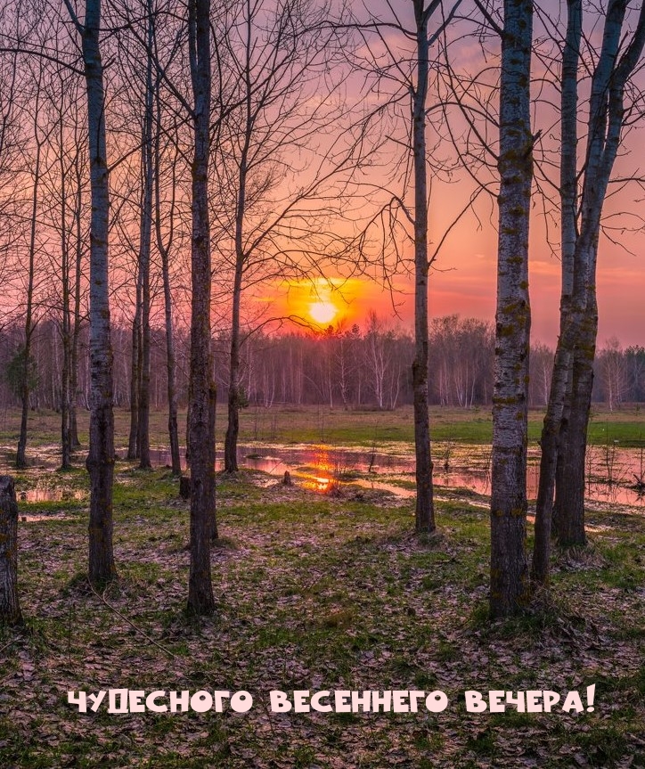 Чудесного весеннего вечера!