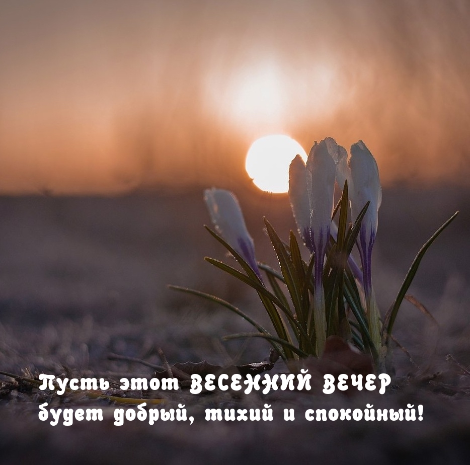 Пусть этот весенний вечер будет добрый, тихий
