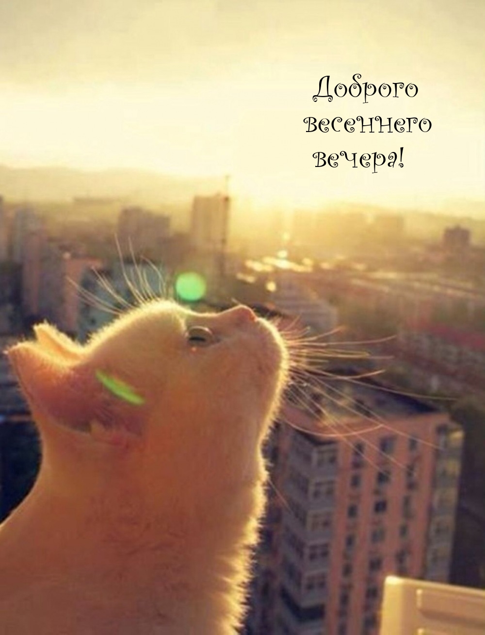 Доброго весеннего вечера!