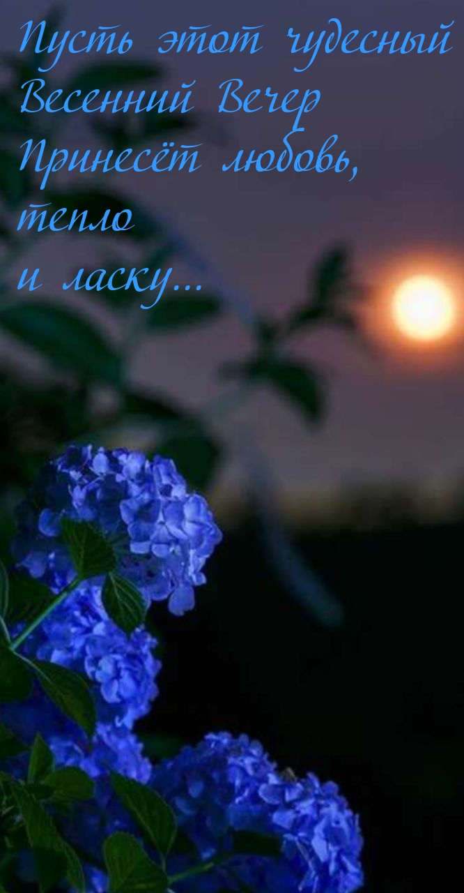 Пусть этот чудесный весенний вечер принесёт любовь