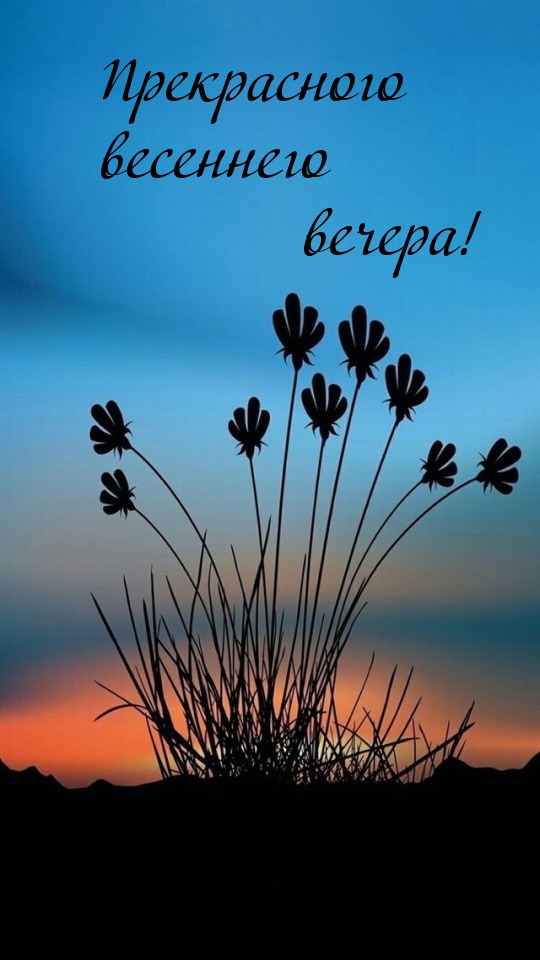 Прекрасного весеннего вечера!